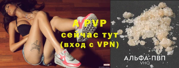 ешки Арсеньев