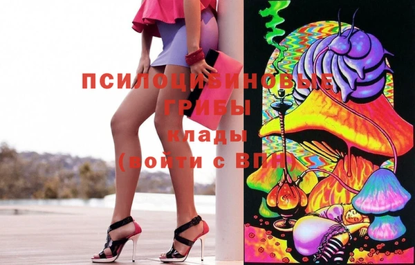 ешки Арсеньев