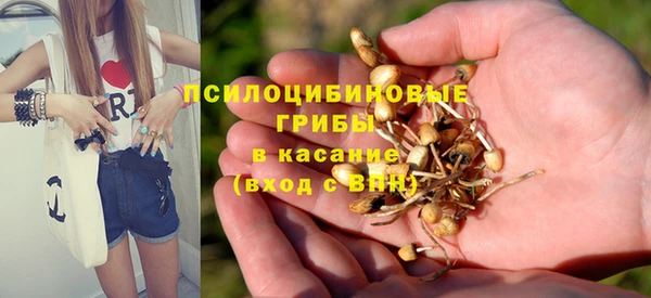 мескалин Аркадак