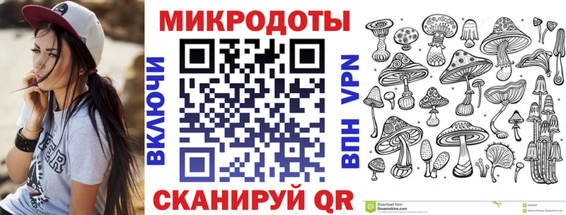 Галлюциногенные грибы Psilocybe  Купить где  Гаджиево 